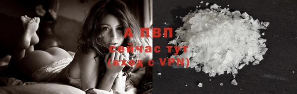 стафф Армянск
